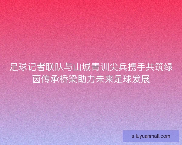 足球记者联队与山城青训尖兵携手共筑绿茵传承桥梁助力未来足球发展